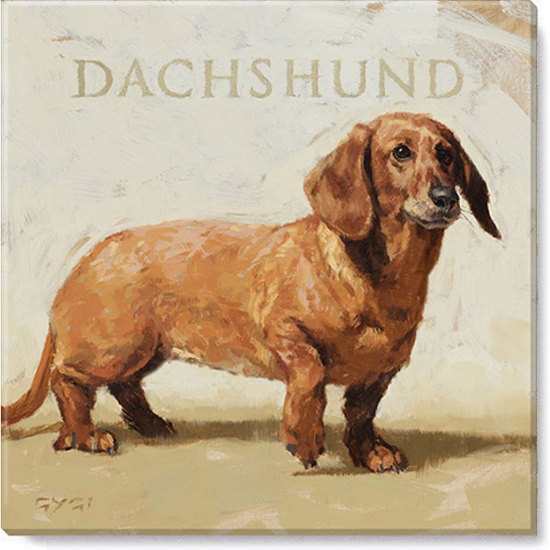 Darren Gygi Home Collection Dachshund Giclee Wall Art by Darren Gygi